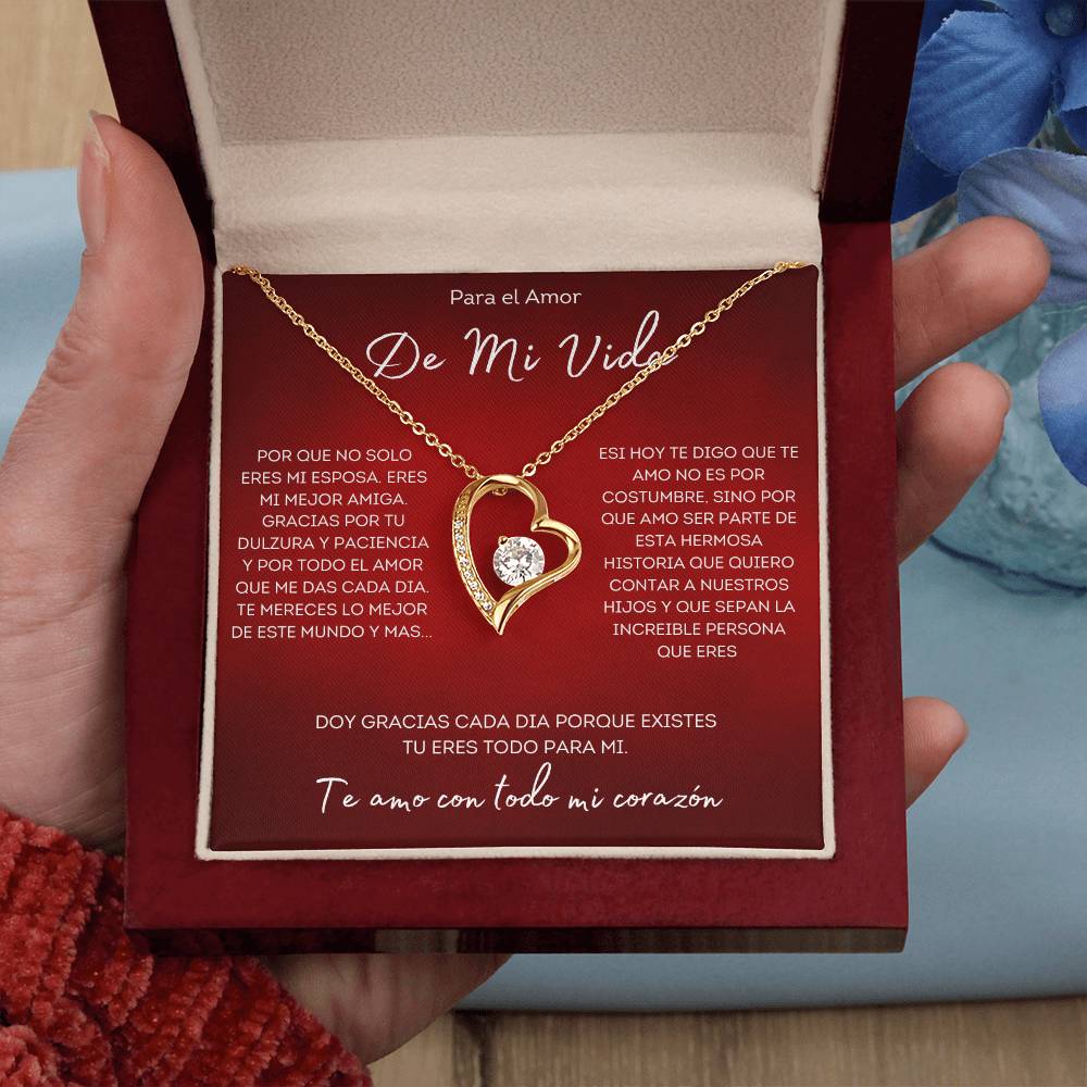 Regalo Para esposa collar regalo aniversario