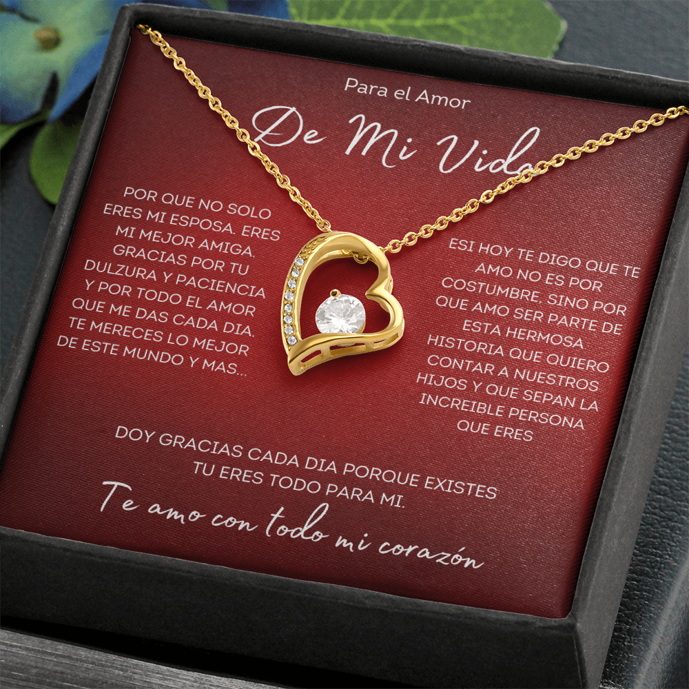 Regalo Para esposa collar regalo aniversario