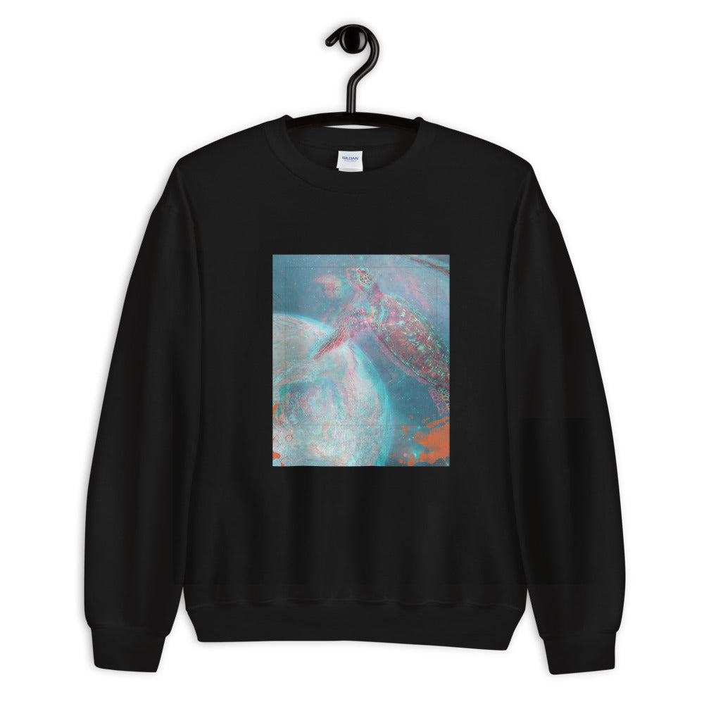 Aesthetic Women's Sweatshirt /Turtle