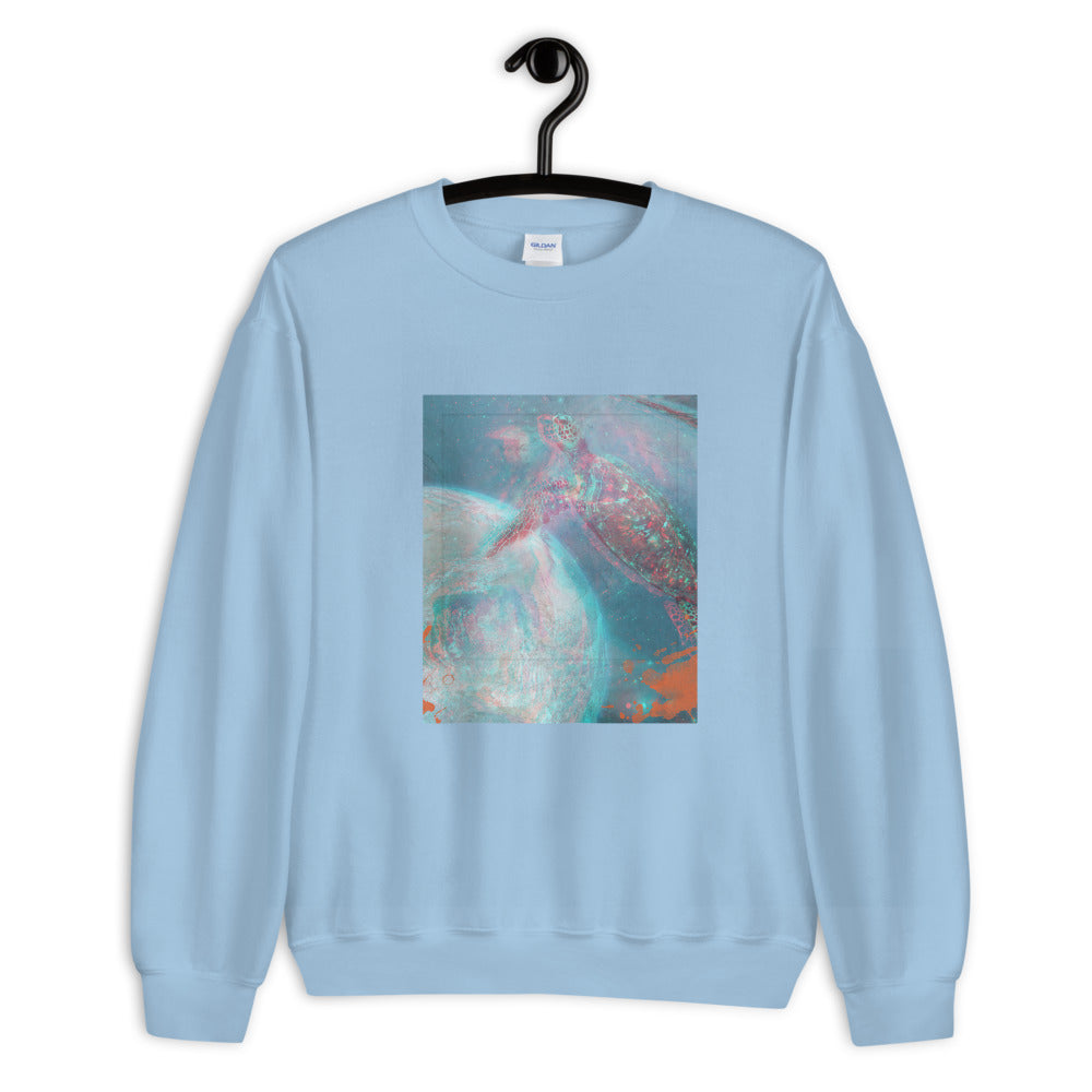 Aesthetic Women's Sweatshirt /Turtle