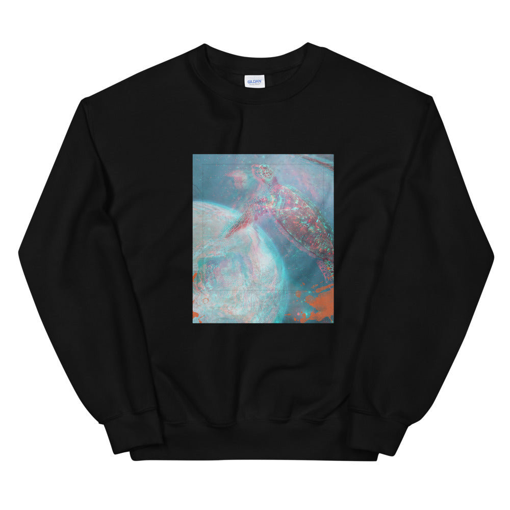 Aesthetic Women's Sweatshirt /Turtle