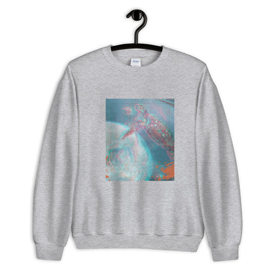 Aesthetic Women's Sweatshirt /Turtle