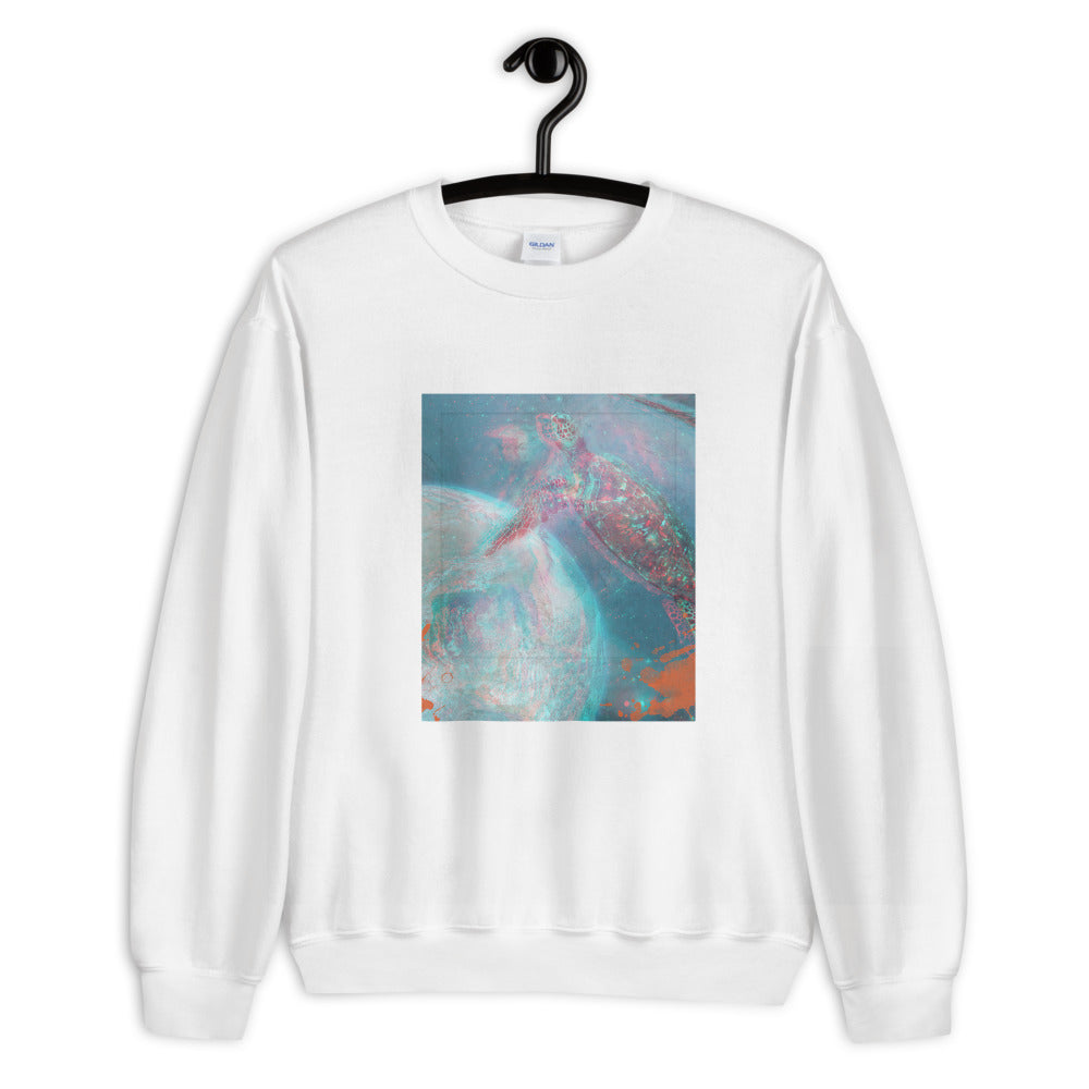 Aesthetic Women's Sweatshirt /Turtle