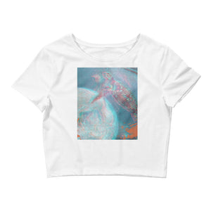 Aesthetic Women’s Tee [Turtle]