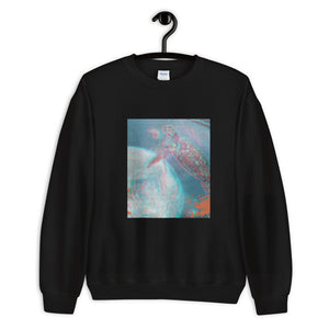 Aesthetic Women's Sweatshirt /Turtle
