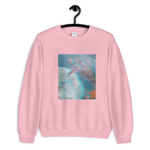 Aesthetic Women's Sweatshirt /Turtle