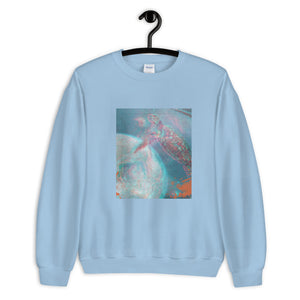 Aesthetic Women's Sweatshirt /Turtle